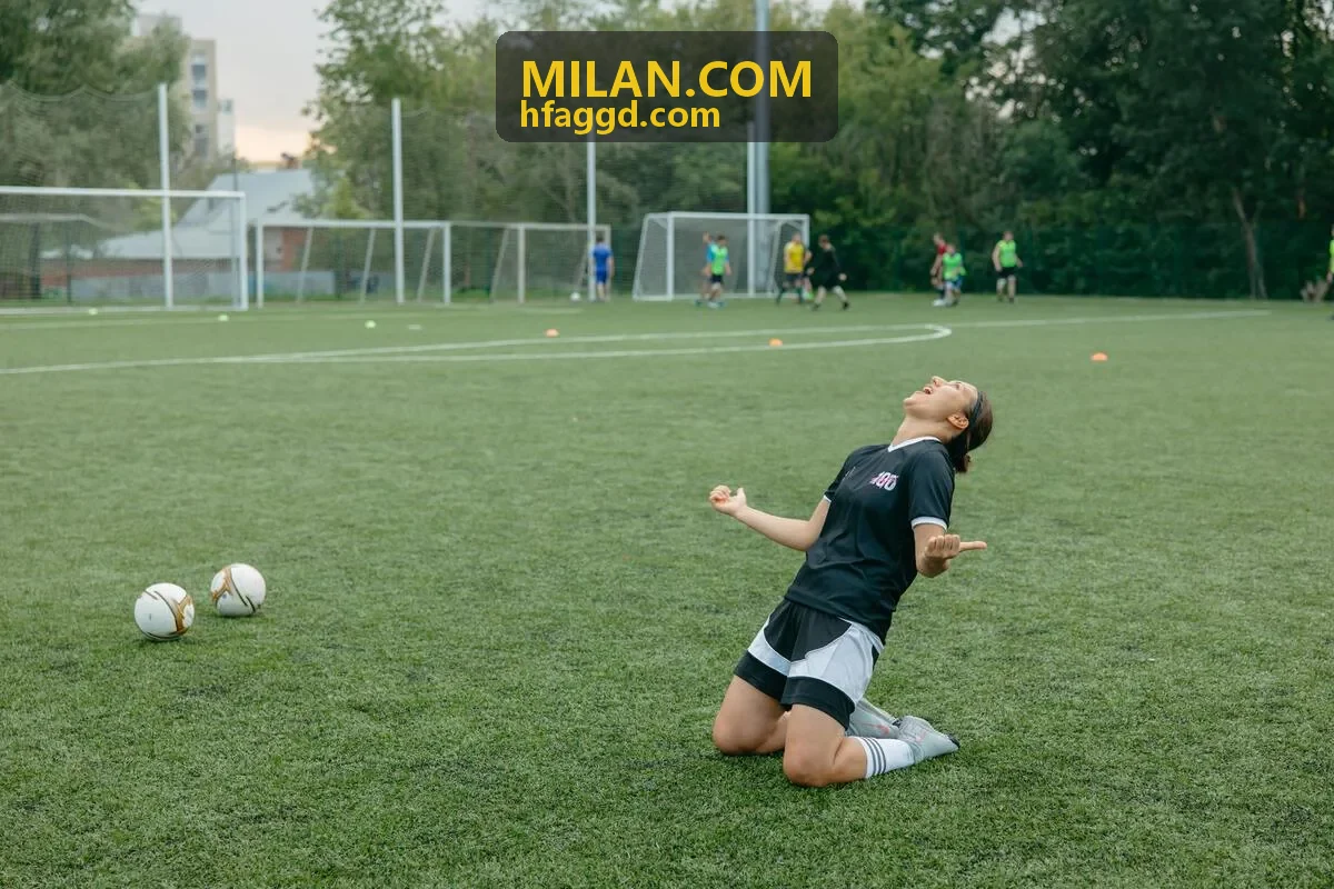 MILAN.COM 数据背景